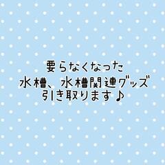 ☆無料☆水槽、淡水魚引き取ります。