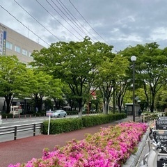 6月11日(土)スロージョギング（スローランニング）をします！