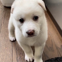 ２ヶ月★男の子