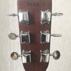 Morris  ビンテージギターの画像