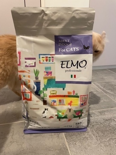ELMO エルモ　アダルトインドア　2kg