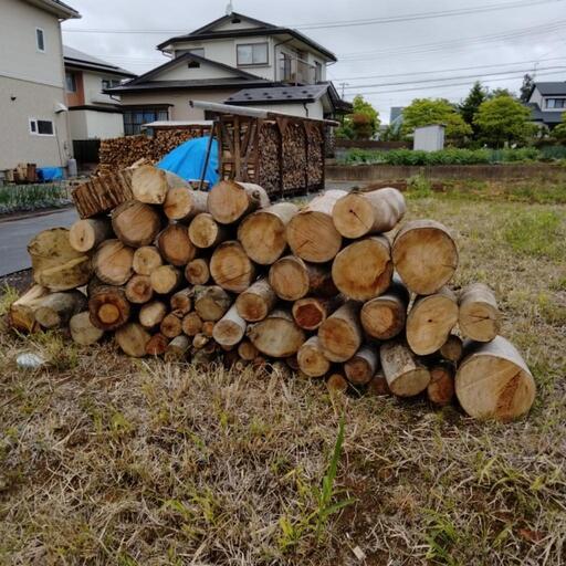 【再投稿】丸太、薪売ります（広葉樹）