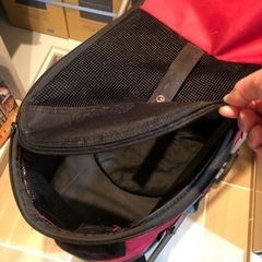 【お取引者決定済】犬 カート あげます！6/13amまでの画像