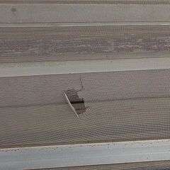 上田市の網戸張替えセンター！ - 家事代行