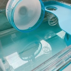 ハムスター ゲージ 決まりましたの画像