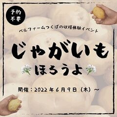 有機じゃがいもの収穫体験イベント『じゃがいもほろうよ』