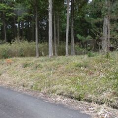 阪神間から約1時間半の別荘地「清流の森」内の小川が流れる区画。約80坪ですが両サイドに建物はなく広々としています。別荘地としてだけでなく永住地としてもいかがでしょうか。 - 多可郡