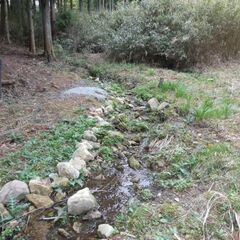 阪神間から約1時間半の別荘地「清流の森」内の小川が流れる区画。約80坪ですが両サイドに建物はなく広々としています。別荘地としてだけでなく永住地としてもいかがでしょうか。 − 兵庫県