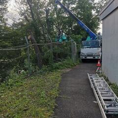 困っている人が居たら放っておけないあなた！の画像