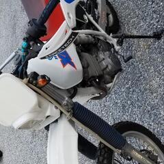 XLR250の画像