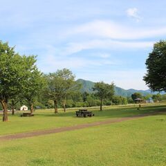 【美郷町】ラベンダーアイス販売員【短期間バイト】の画像