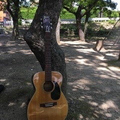 モーリスアコースティックギター