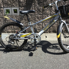 ※お取引完了しました※定価30000円！　子供用自転車20インチ...