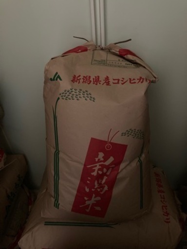 令和3年度産　コシヒカリ