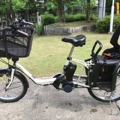 Panasonic BE-ELMD033
