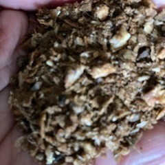 魚粉