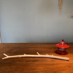 6.小枝ちゃんがお茶目な　流木…天然物、インテリア、創作の画像