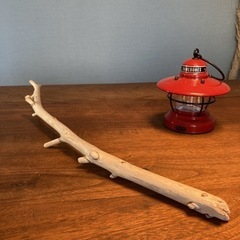 6.小枝ちゃんがお茶目な　流木…天然物、インテリア、創作の画像