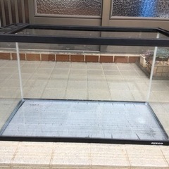 ６０センチ水槽