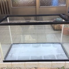 ６０センチ水槽②