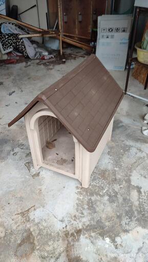 中型犬用？