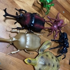 昆虫　海亀　フィギュア