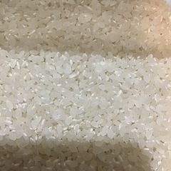 米1キロ　１００円