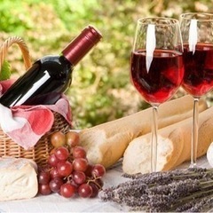 🍷ワイン仲間募集🍷