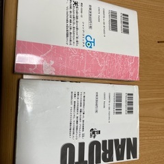 ワンピース52巻・劇場版ナルト疾風伝（小説）の画像