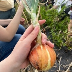 食育、健康、環境問題に興味のある方🌱