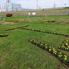 造園　女性大歓迎！毎週月曜日限定花壇管理アルバイト募集の画像