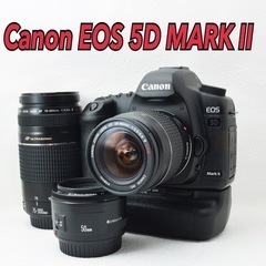 最高の写り●フルサイズ機●すぐ使える●キャノン EOS 5D MARK II 1カ月動作保証あり！ 安心のゆうパック代引き発送！ 送料、代引き手数料無料！