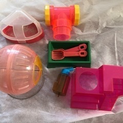 ハムスター飼育セットの画像