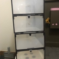 靴　収納　玄関
