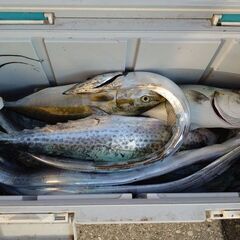 釣り仲間募集 - メンバー募集