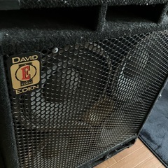 EDEN D410XLT