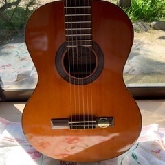 早いもの勝ち！美品！ギター　Aria A-20M  クラシックギター　の画像
