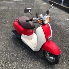 HONDA  AF54 ジョルノクレア　赤　風防付き