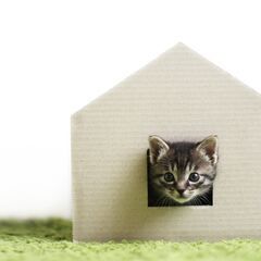 【経験者急募！】入社特典86万円／トヨタ自動車で塗装業務_oKh...