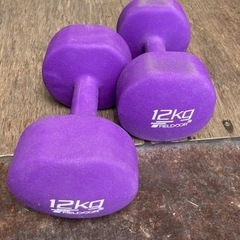 ● ダンベル、12キロ、元値6490円の画像