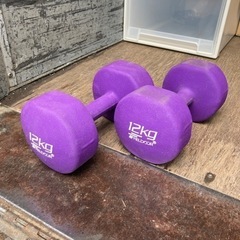 ● ダンベル、12キロ、元値6490円
