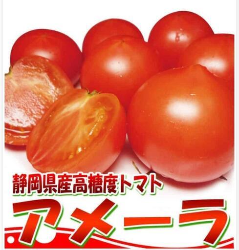 1ケース　アメーラトマト高糖度　フルーツトマト　品質鮮度抜群！