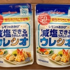 減塩のシオ 100g×2袋(賞味期限2022.7.27)