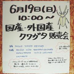 恒例　国産、外国産クワガタ販売会
