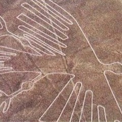 ナスカの地上絵(ペルー)の画像