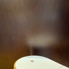 【お渡し決まりました!!】アロマディフューザー“生活の木”(少量のオイル付き)の画像