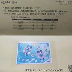 東京ディズニーランド 入場券