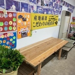 メダカ販売のお知らせですの画像