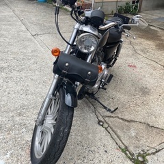 Harley-Davidson xl883 2007年式　インジェクションモデルの画像