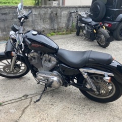 Harley-Davidson xl883 2007年式　インジェクションモデルの画像